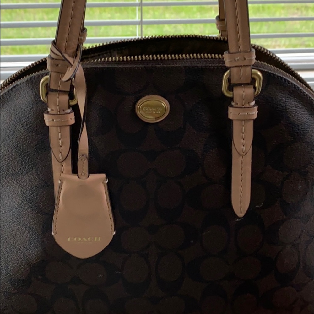 Just need a little TLC!